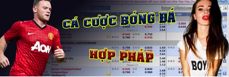 Nhà cái là gì? TOP những nhà cái uy tín nhất hiện nay 1 Nhà cái là gì? TOP những nhà cái uy tín nhất hiện nay 1