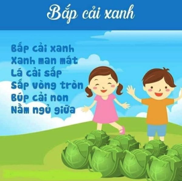 Mẫu giáo án dạy thơ Bắp cải xanh cho trẻ mầm non